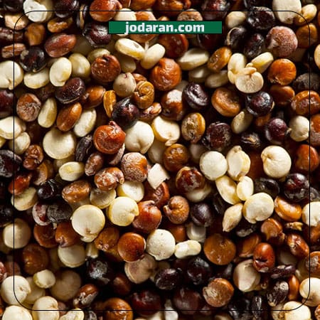 قیمت خرید کینوا از کشاورز