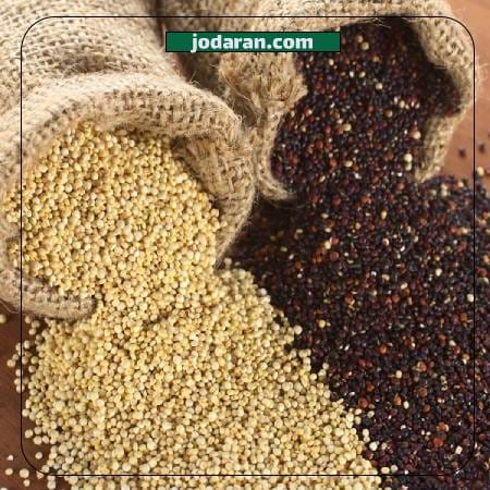 قیمت کینوا در تهران